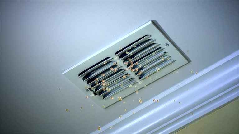 Best Air Vent Cleaning Services  in Boswell, PA